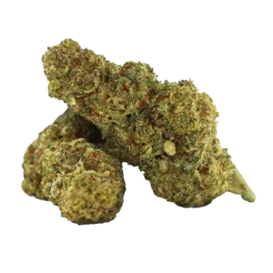 Samouraï Jack (2gr)