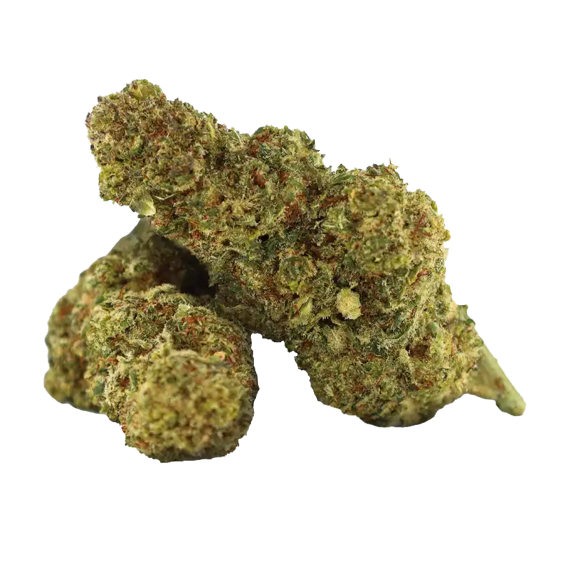 Samouraï Jack THCP Flower