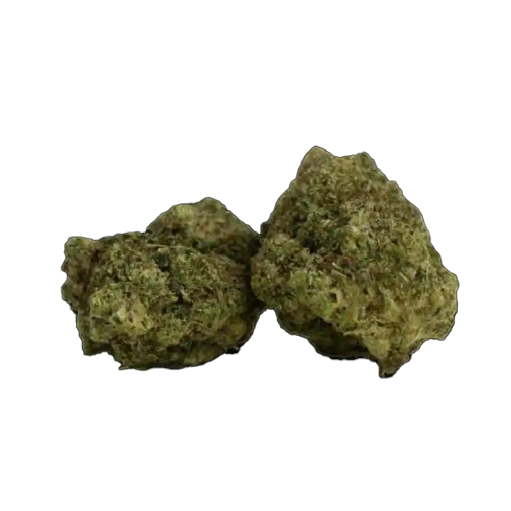 Champagne Haze THCJD Flower: Sparkling 10% THCJD Strain Champagne Haze THCJD Flower: Sparkling 10% THCJD Strain