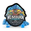 tre-house-mushroom-gummies-blue-raspberry