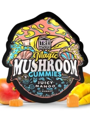 trehouse-mushroom-gummies-juicy-mango-flavor