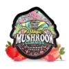 trehouse-mushroom-gummies-strawberry-dream-flavor