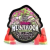 trehouse-mushroom-gummies-watermelon-wonder-flavor