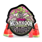 trehouse-mushroom-gummies-watermelon-wonder-flavor