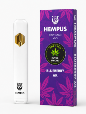 Disposable vape