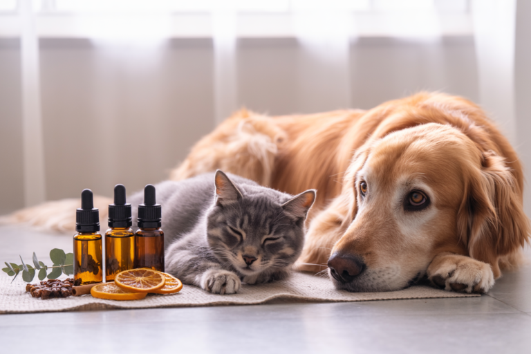 CBD products for pets - Best CBD Products for Pets: Complete Buying Guide