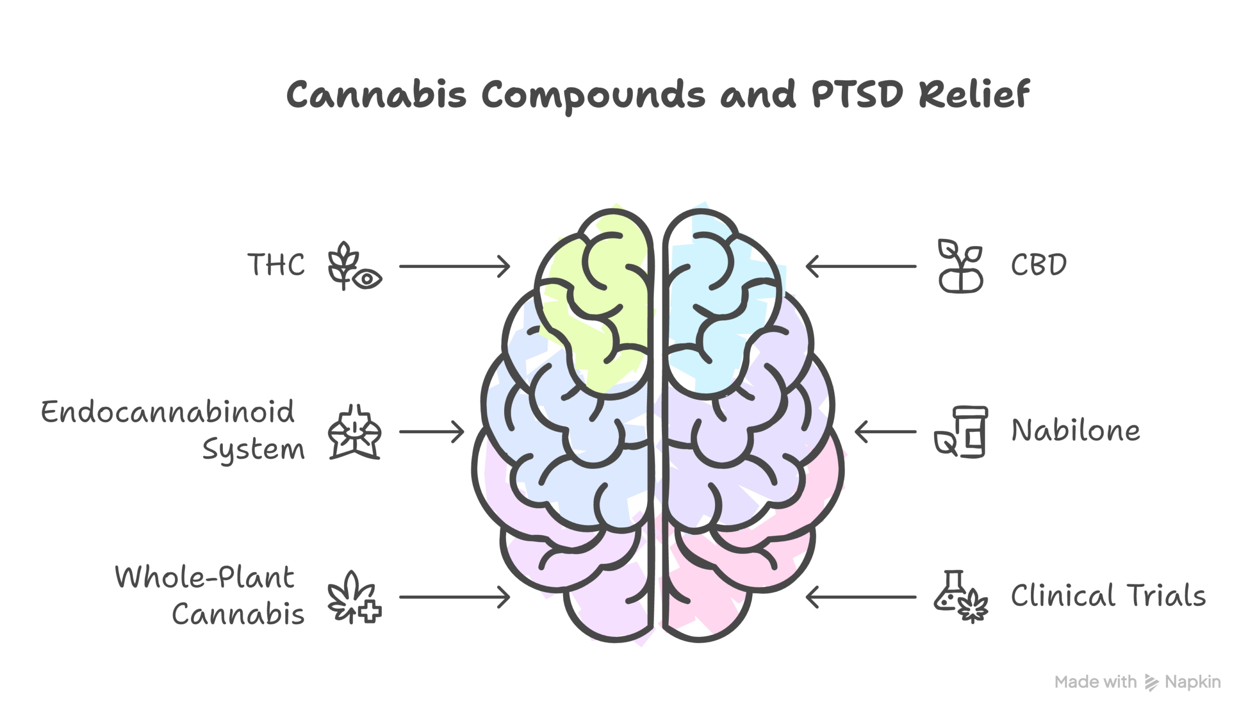 cannabis PTSD treatment infographic
