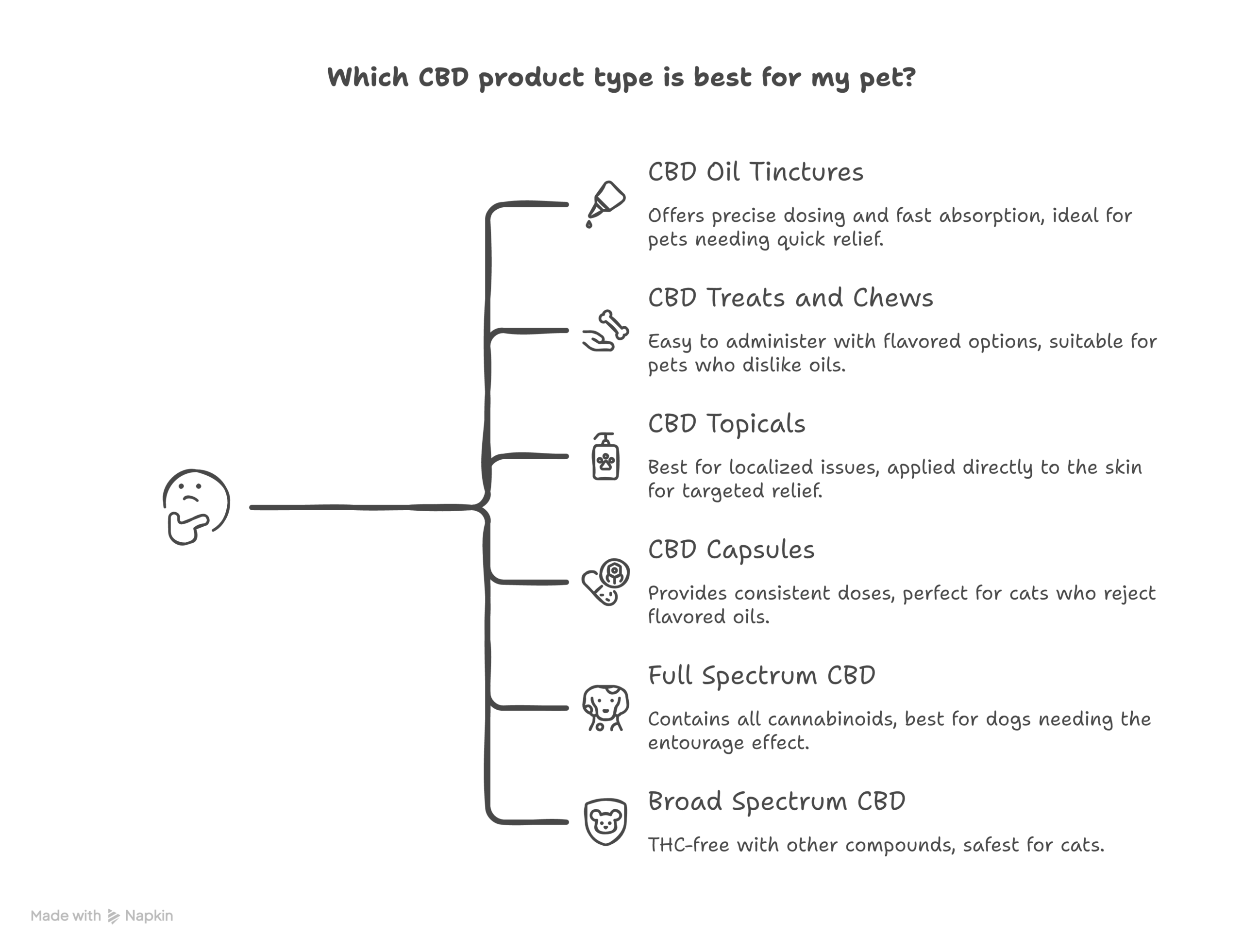CBD products for pets infographic