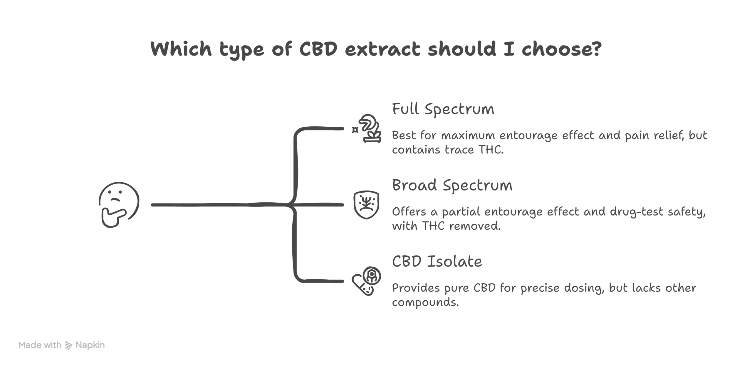 full spectrum CBD infographic