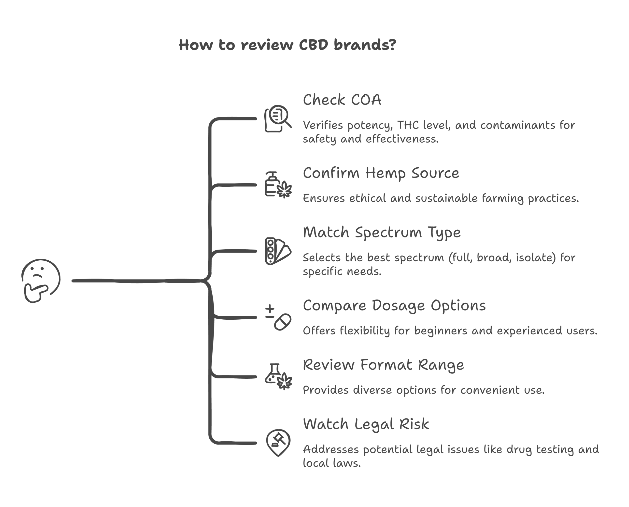 best CBD brands infographic