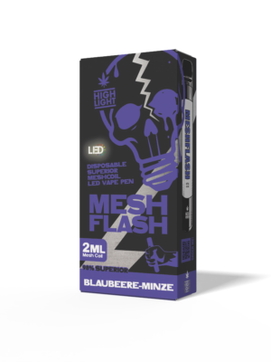 Blueberry Mint disposable