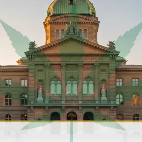 Switzerland’s cannabis consultation Switzerland's cannabis consultation
