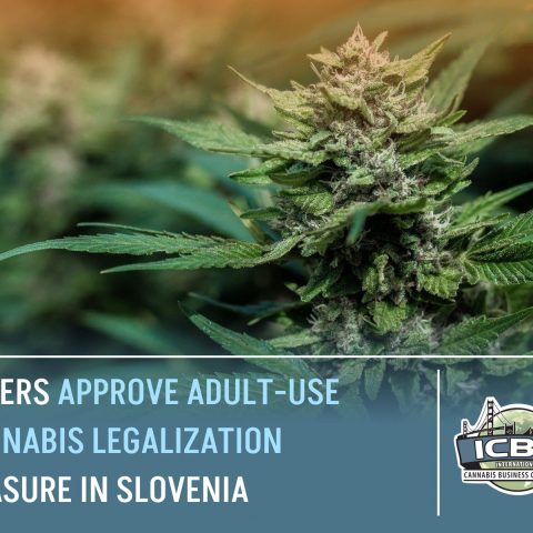 adult-use-cannabis-legalization-vote-slovenia slovenia