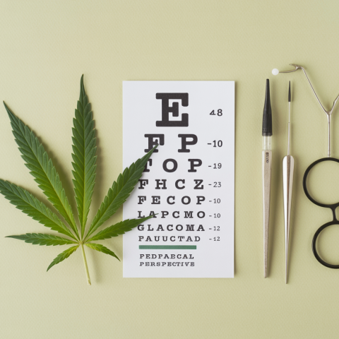 cannabis glaucoma - Cannabis for Glaucoma: Medical Perspective